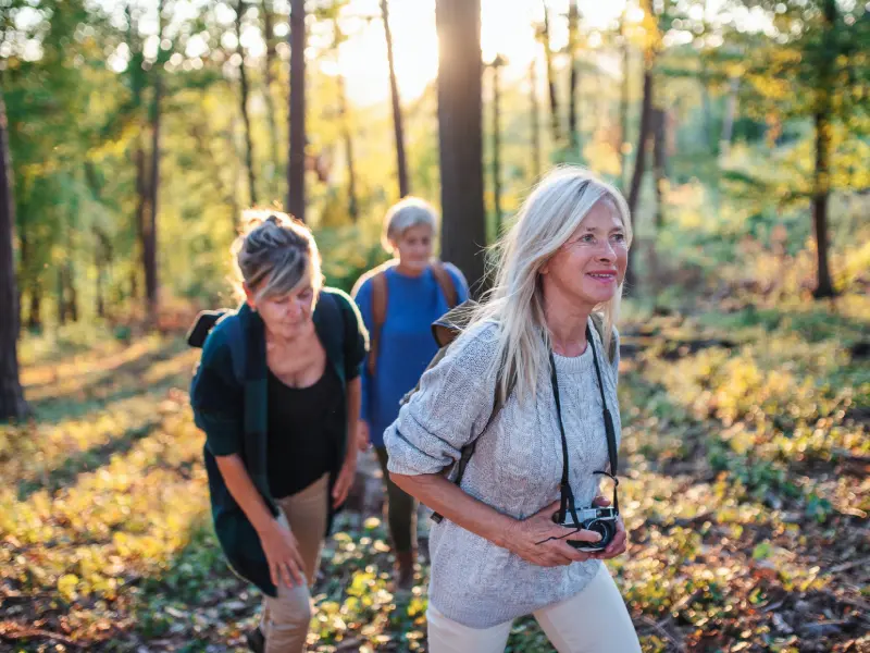 Guided Forest Bathing & Grounding