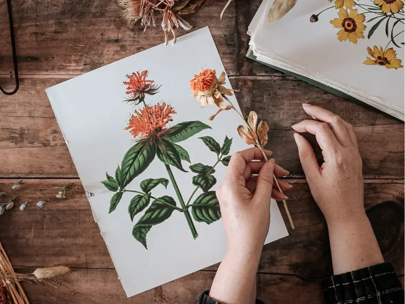 Nature Art & Eco-Printing