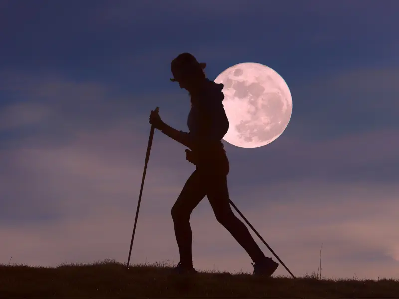 Twilight Walk